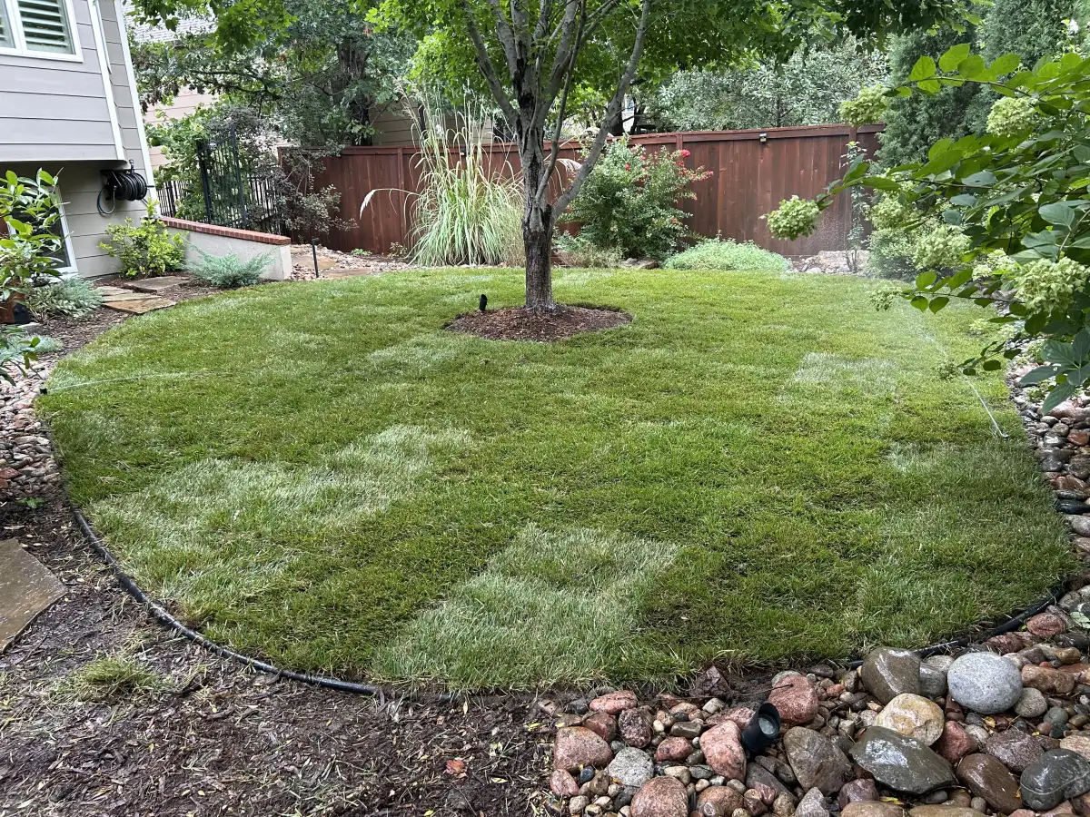 Landscape design and installation in Wichita KS